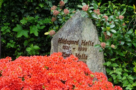 Bad Godesberg